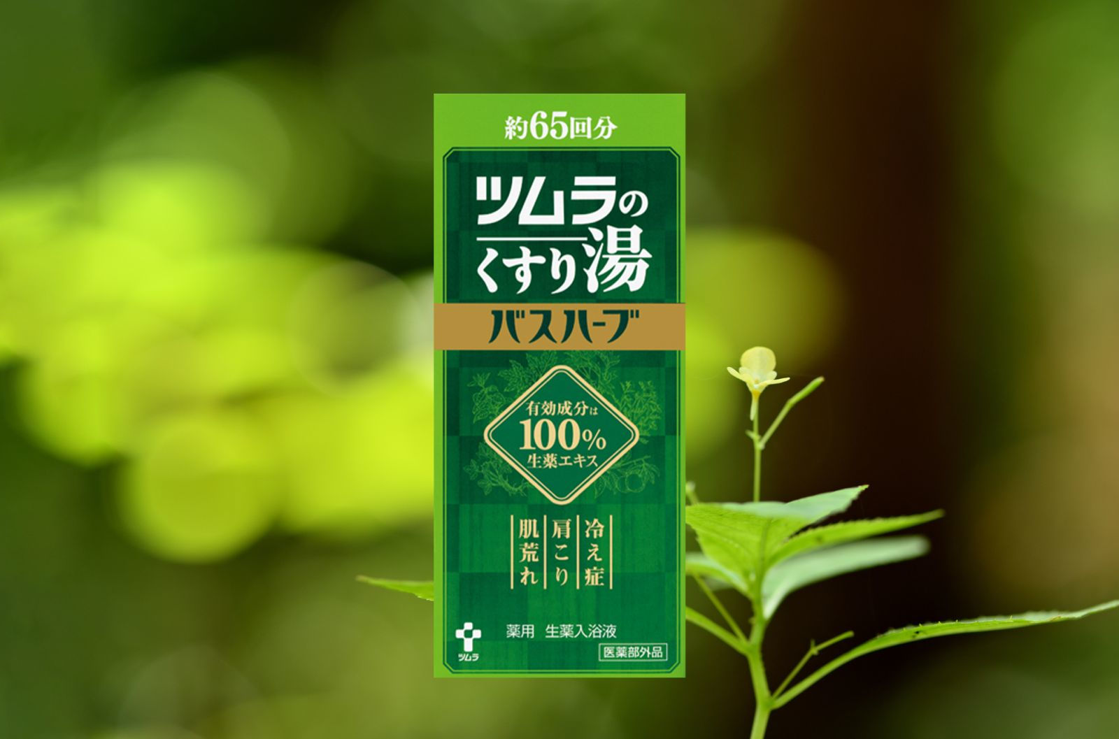 バスハーブ